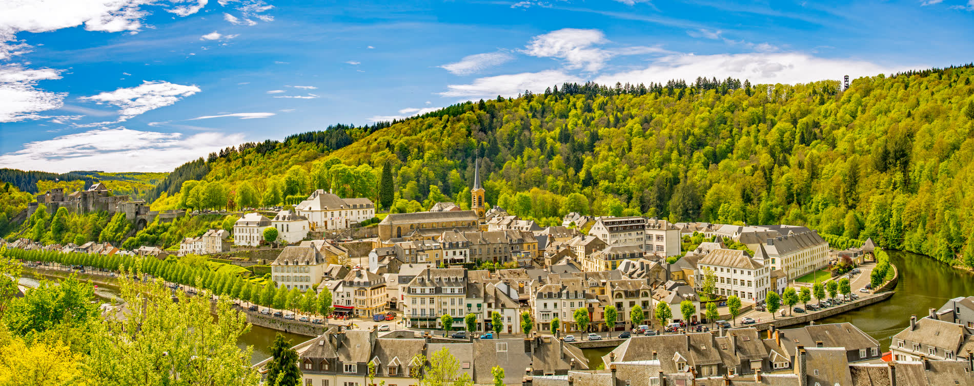 Panorama einer Stadt mit Kirchturm an einer Flussschleife, links eine Burg, dahinter ein bewaldeter Hang